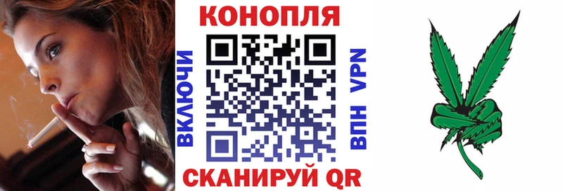 kraken ссылки  Болгар  Бошки марихуана семена  где продают  